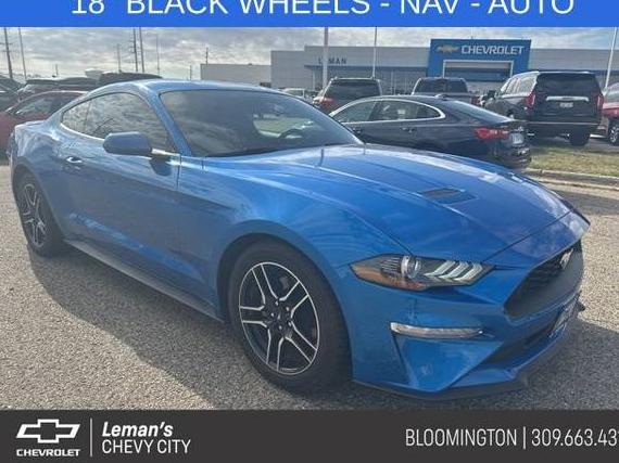 FORD MUSTANG 2019 1FA6P8TH4K5135452 image