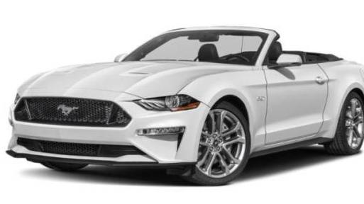 FORD MUSTANG 2019 1FATP8FF0K5129466 image