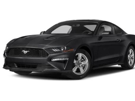 FORD MUSTANG 2019 1FA6P8TH2K5130878 image