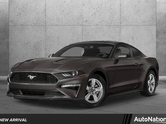 FORD MUSTANG 2019 1FA6P8CF9K5191854 image