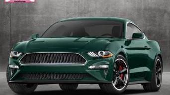 FORD MUSTANG 2019 1FA6P8K04K5500174 image