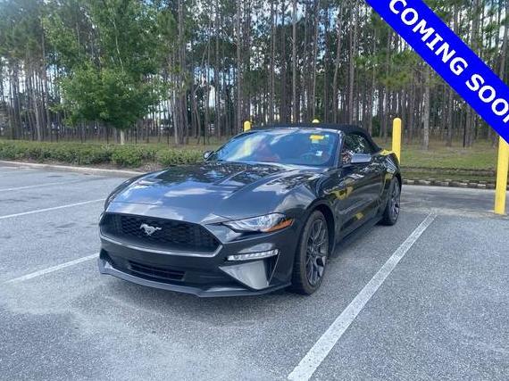 FORD MUSTANG 2019 1FATP8UH0K5142061 image