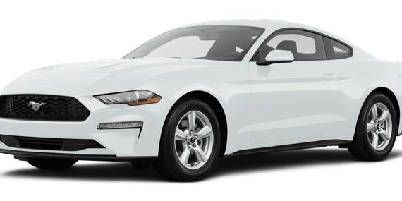 FORD MUSTANG 2019 1FA6P8TH5K5134522 image