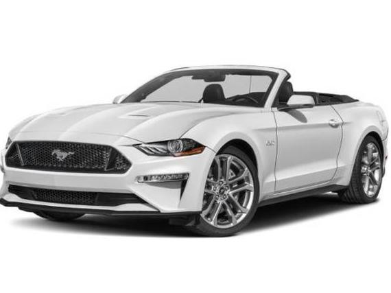 FORD MUSTANG 2019 1FATP8FF4K5129941 image