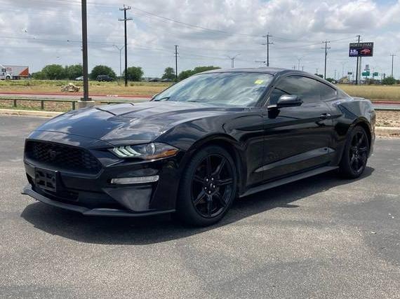 FORD MUSTANG 2019 1FA6P8TH8K5176604 image