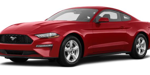 FORD MUSTANG 2019 1FA6P8TH5K5163292 image