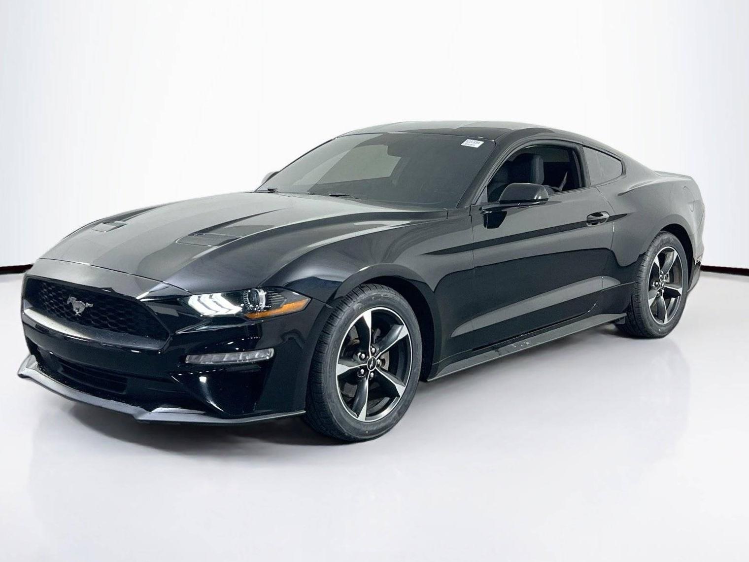 FORD MUSTANG 2019 1FA6P8TH5K5182456 image