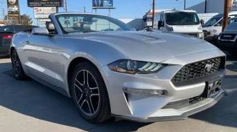 FORD MUSTANG 2019 1FATP8UH7K5171038 image