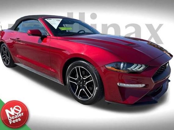 FORD MUSTANG 2019 1FATP8UH1K5103656 image
