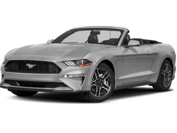 FORD MUSTANG 2019 1FA6P8K08K5501571 image