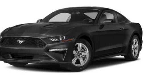 FORD MUSTANG 2019 1FA6P8TH2K5172158 image