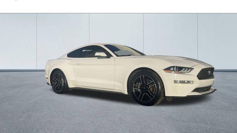 FORD MUSTANG 2019 1FA6P8TH8K5135311 image