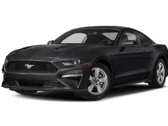 FORD MUSTANG 2019 1FA6P8TH7K5202660 image
