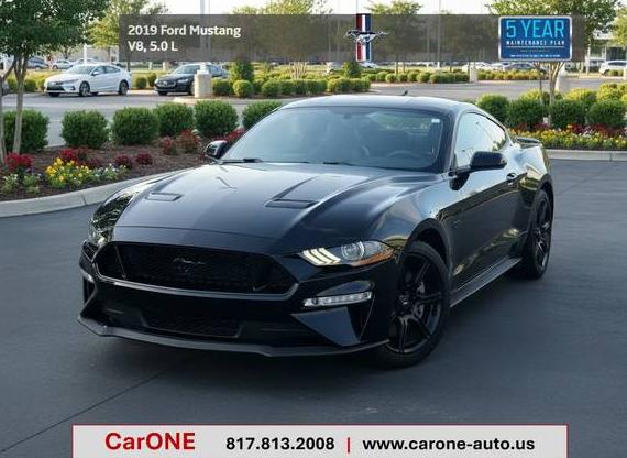 FORD MUSTANG 2019 1FA6P8CF2K5103887 image