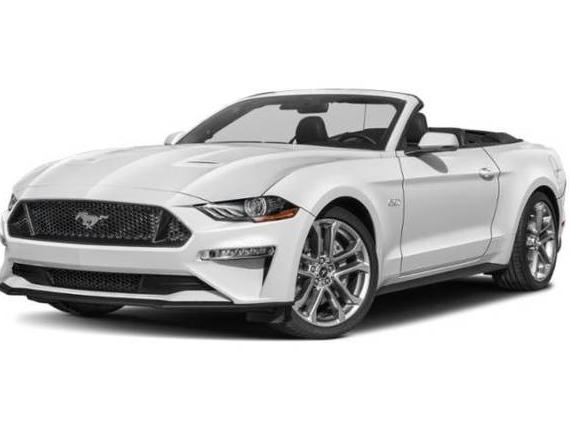 FORD MUSTANG 2019 1FATP8FF1K5138564 image