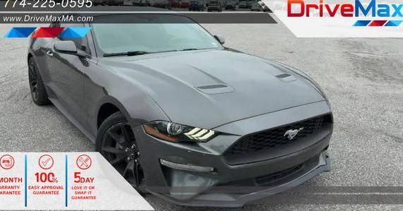FORD MUSTANG 2019 1FA6P8TH5K5197474 image