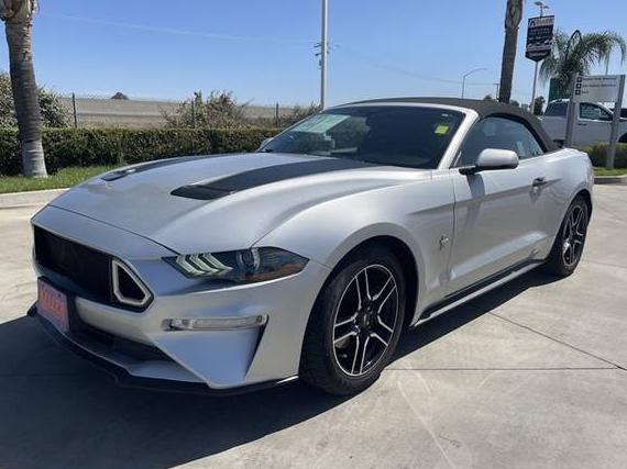 FORD MUSTANG 2019 1FATP8UH4K5170977 image