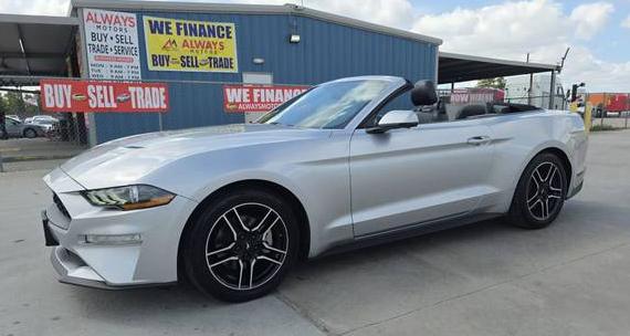 FORD MUSTANG 2019 1FATP8UH8K5148836 image