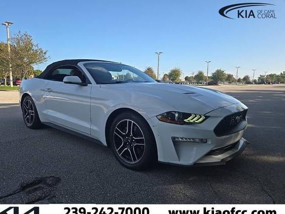 FORD MUSTANG 2019 1FATP8UH0K5149415 image
