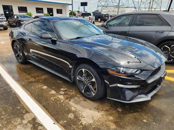 FORD MUSTANG 2019 1FA6P8TH6K5147702 image