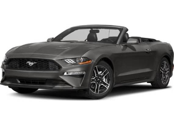 FORD MUSTANG 2019 1FATP8UH2K5117131 image