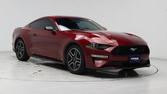 FORD MUSTANG 2019 1FA6P8TH5K5161378 image