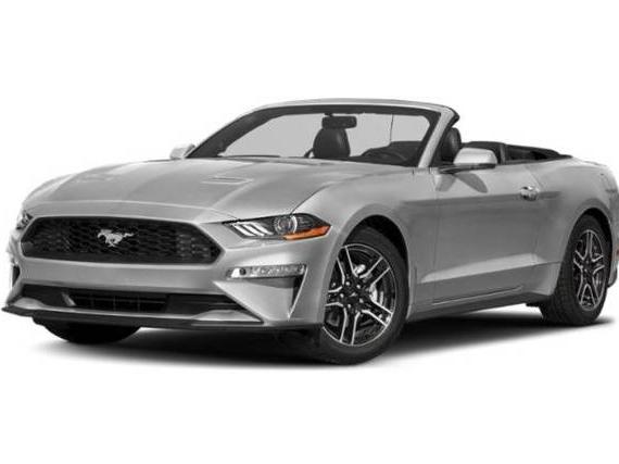 FORD MUSTANG 2019 1FATP8UH5K5181583 image