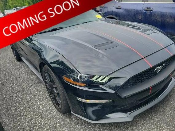 FORD MUSTANG 2018 1FA6P8TH3J5146070 image FORD MUSTANG 2018 1FA6P8TH3J5146070 image