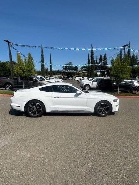 FORD MUSTANG 2018 1FA6P8TH0J5123734 image