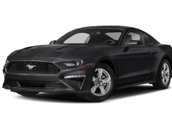 FORD MUSTANG 2018 1FA6P8TH7J5125609 image