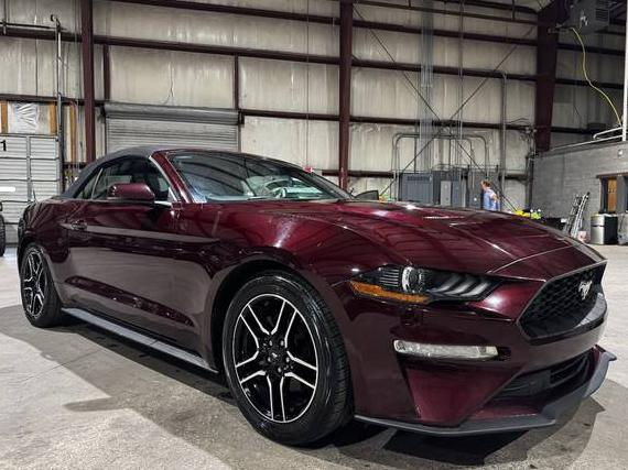FORD MUSTANG 2018 1FATP8UH7J5145392 image