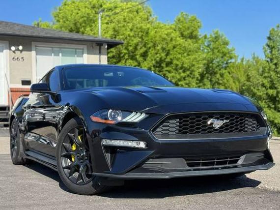 FORD MUSTANG 2018 1FA6P8TH7J5146637 image