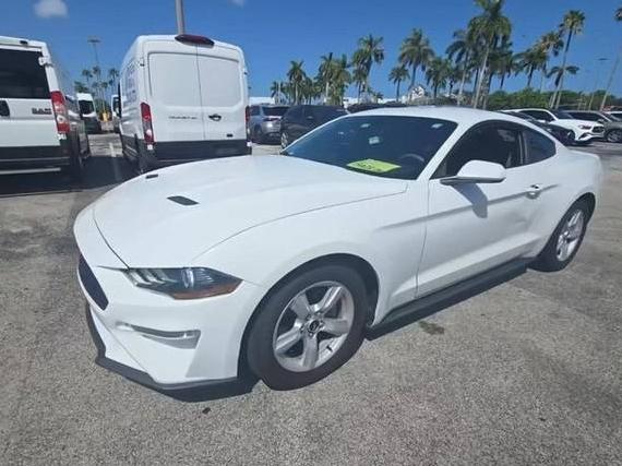 FORD MUSTANG 2018 1FA6P8TH5J5165090 image