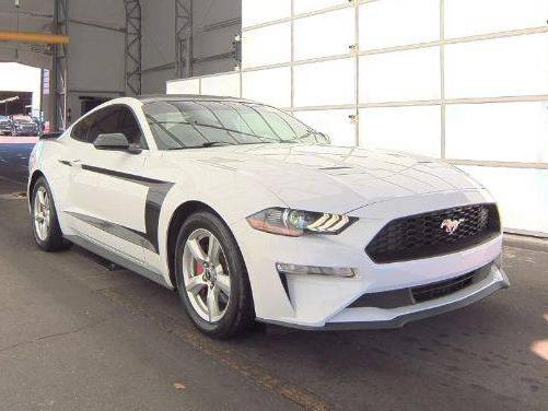 FORD MUSTANG 2018 1FA6P8TH6J5161890 image