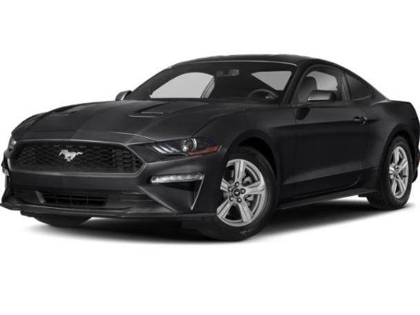 FORD MUSTANG 2018 1FA6P8TH4J5145932 image