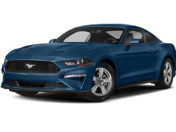 FORD MUSTANG 2018 1FA6P8CF0J5113381 image