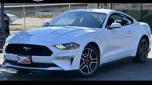 FORD MUSTANG 2021 1FA6P8TH8M5105003 image