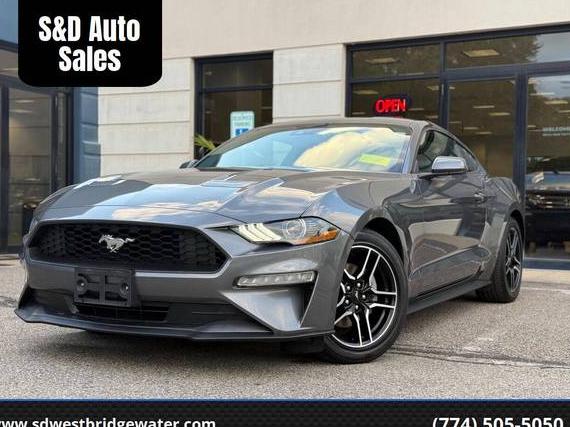 FORD MUSTANG 2021 1FA6P8THXM5152503 image FORD MUSTANG 2021 1FA6P8THXM5152503 image