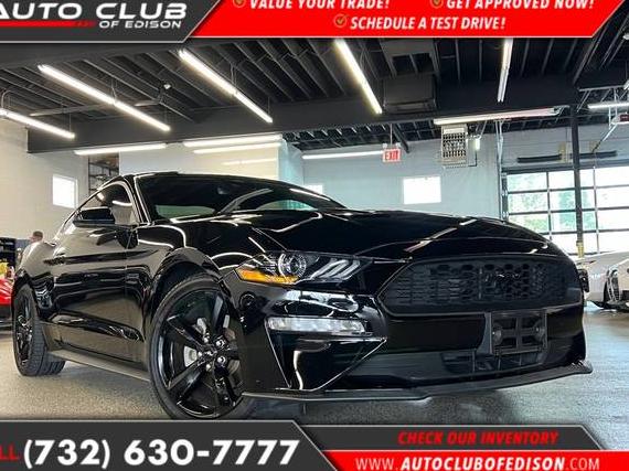 FORD MUSTANG 2021 1FA6P8TH6M5154782 image