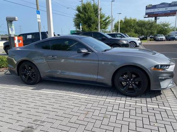 FORD MUSTANG 2021 1FA6P8TH2M5101772 image