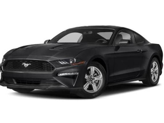 FORD MUSTANG 2021 1FA6P8TH5M5139948 image