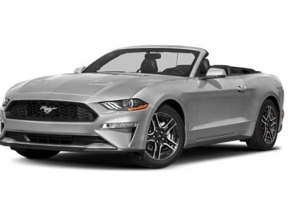 FORD MUSTANG 2021 1FATP8UH8M5125138 image