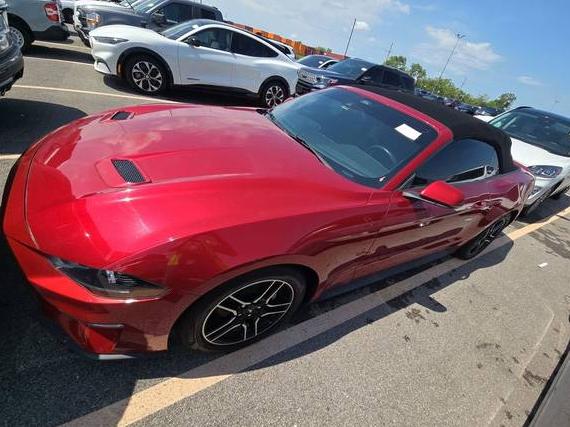 FORD MUSTANG 2021 1FATP8UH3M5140887 image