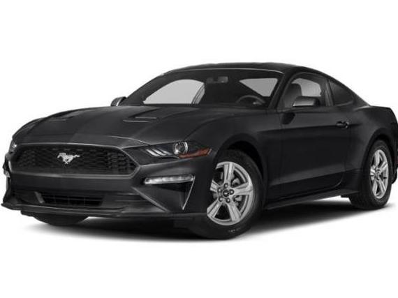 FORD MUSTANG 2021 1FA6P8TH4M5151394 image