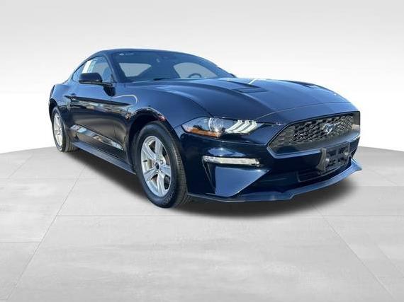 FORD MUSTANG 2021 1FA6P8TH7M5134492 image FORD MUSTANG 2021 1FA6P8TH7M5134492 image