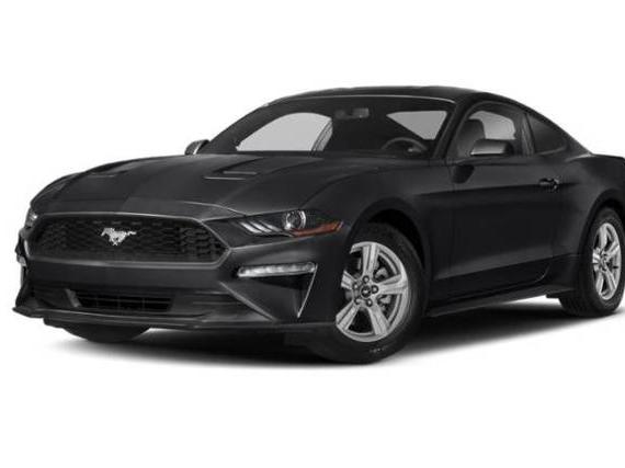 FORD MUSTANG 2021 1FA6P8TH8M5135103 image