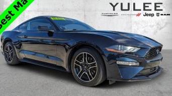 FORD MUSTANG 2021 1FA6P8TH3M5153511 image