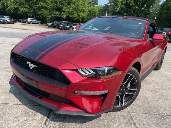FORD MUSTANG 2021 1FATP8UH9M5140585 image