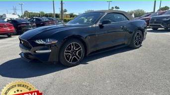 FORD MUSTANG 2021 1FATP8UH4M5108157 image
