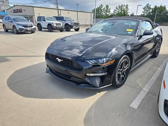 FORD MUSTANG 2021 1FATP8UH1M5125045 image FORD MUSTANG 2021 1FATP8UH1M5125045 image